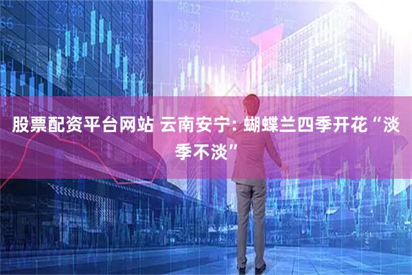 股票配资平台网站 云南安宁: 蝴蝶兰四季开花“淡季不淡”